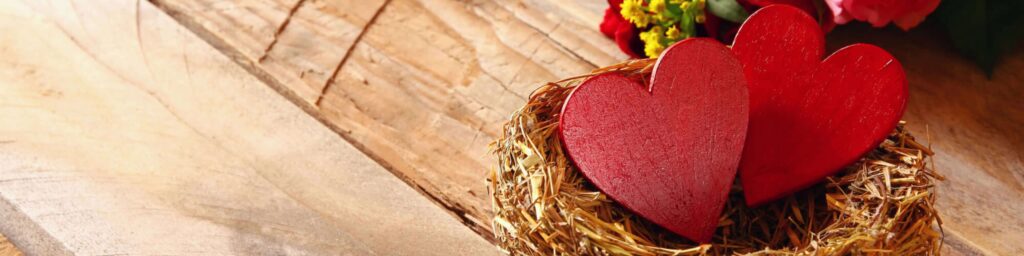 two hearts in nest