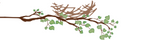 empty nest on  tree limb data-pin-nopin="true"