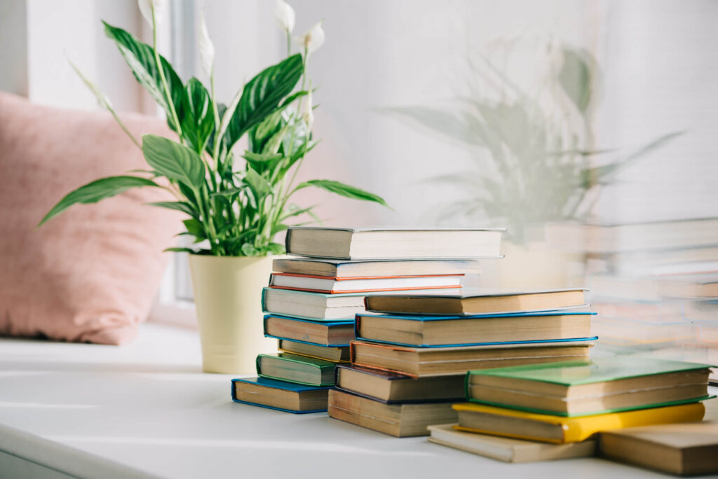 window seat pillow plant self-help books for moving beyond empty nest