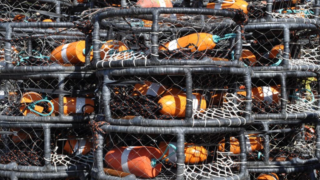 crab pots stacked up